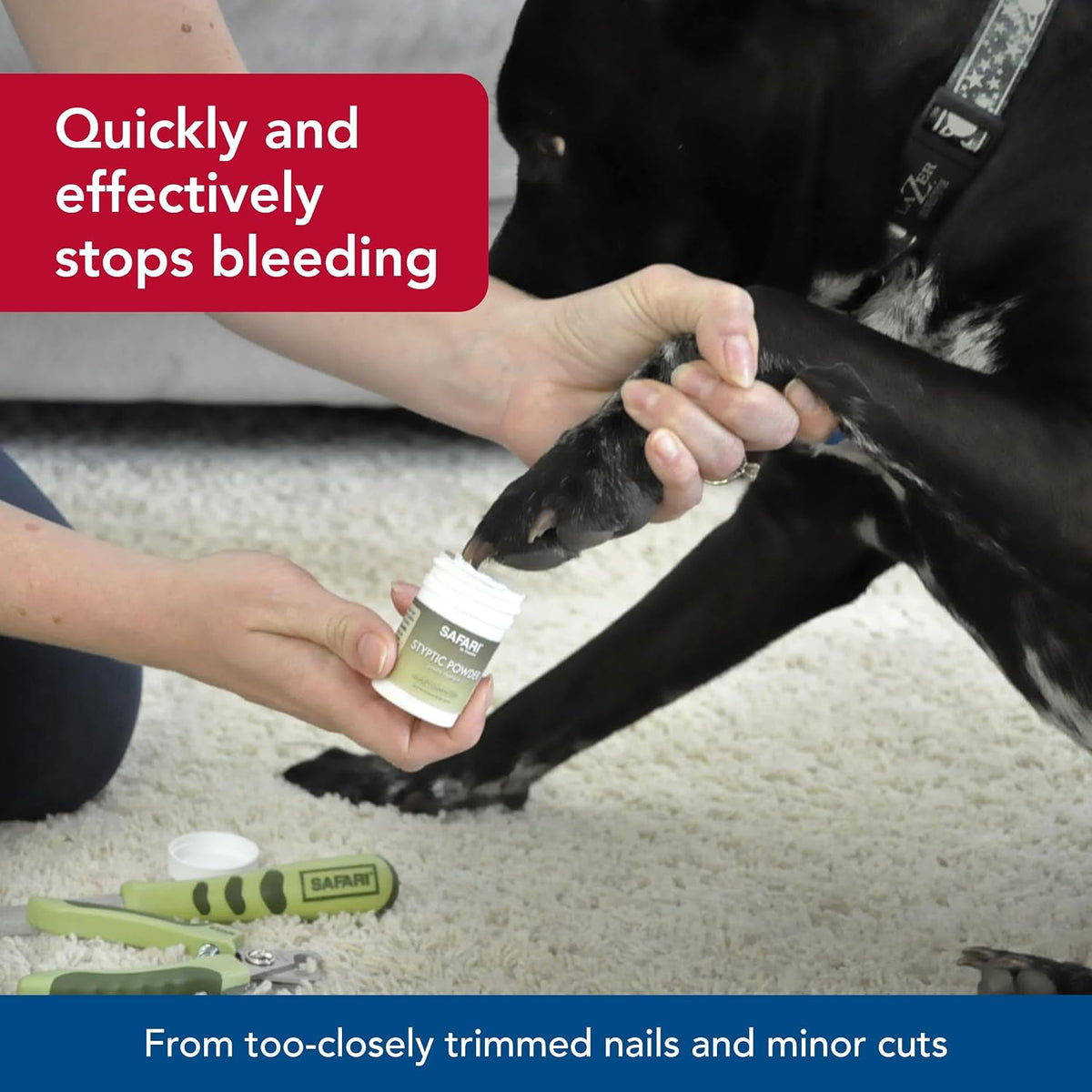 Safari by Coastal Styptic Powder to Quickly Stop Minor Bleeding from Nicks Or Scrapes On Dogs Or Cats
