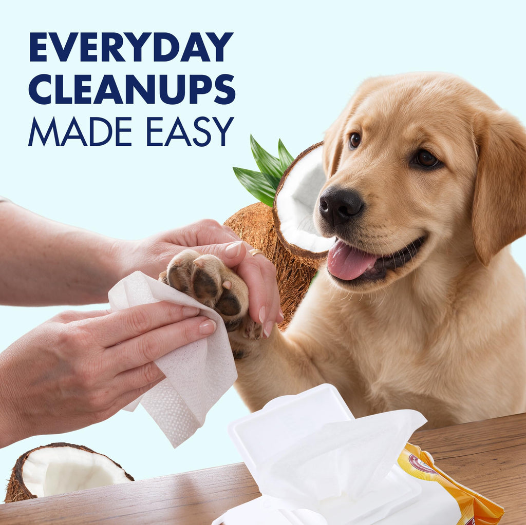 Arm & Hammer Puppy Wipes, Deodorizing Dog Wipes, Coconut Water, 100 Count