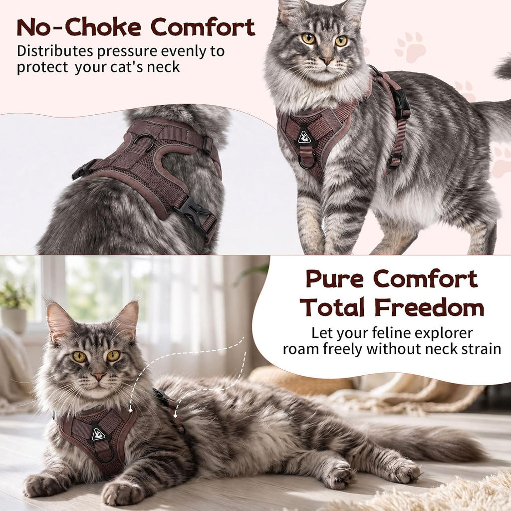 Large Cat Harness & Leash Set, Escape-Proof Soft Vest for Outdoor Walking