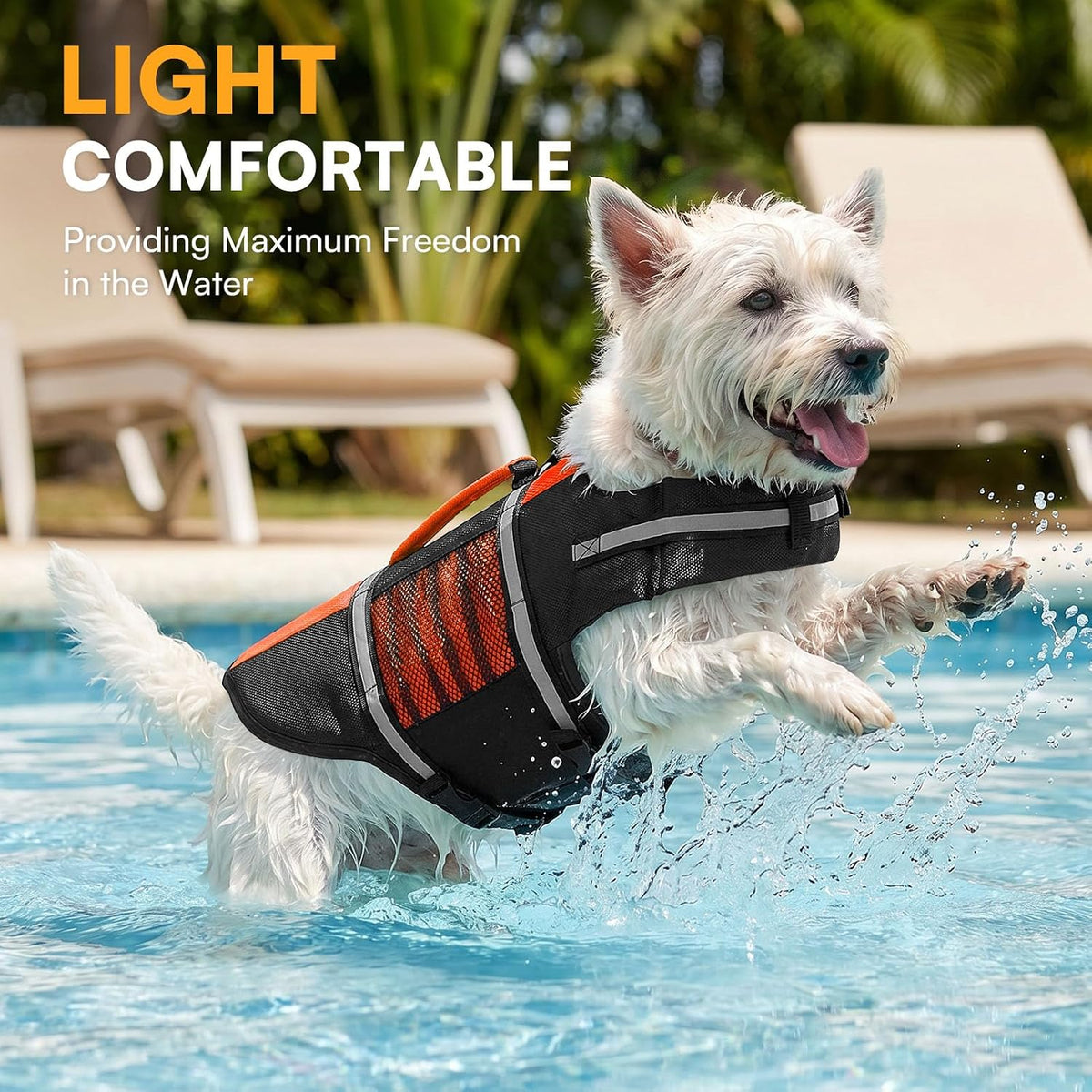 Small Dog Life Jacket,Adjustable Dog Life Vest for Small Dogs