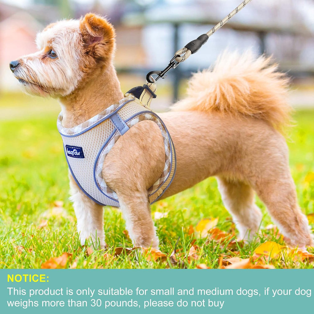 haapaw Dog Harness with Leash Set, No Pull Adjustable Reflective Step-in Puppy Harness with Thickened Padded Vest for Ex