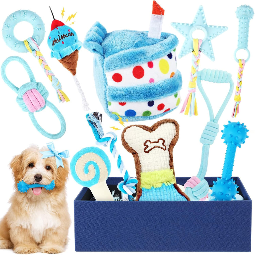 RoundFunny 19 Pcs Cat Toys Gift Box Cat Birthday Toys with Catnip & Wand