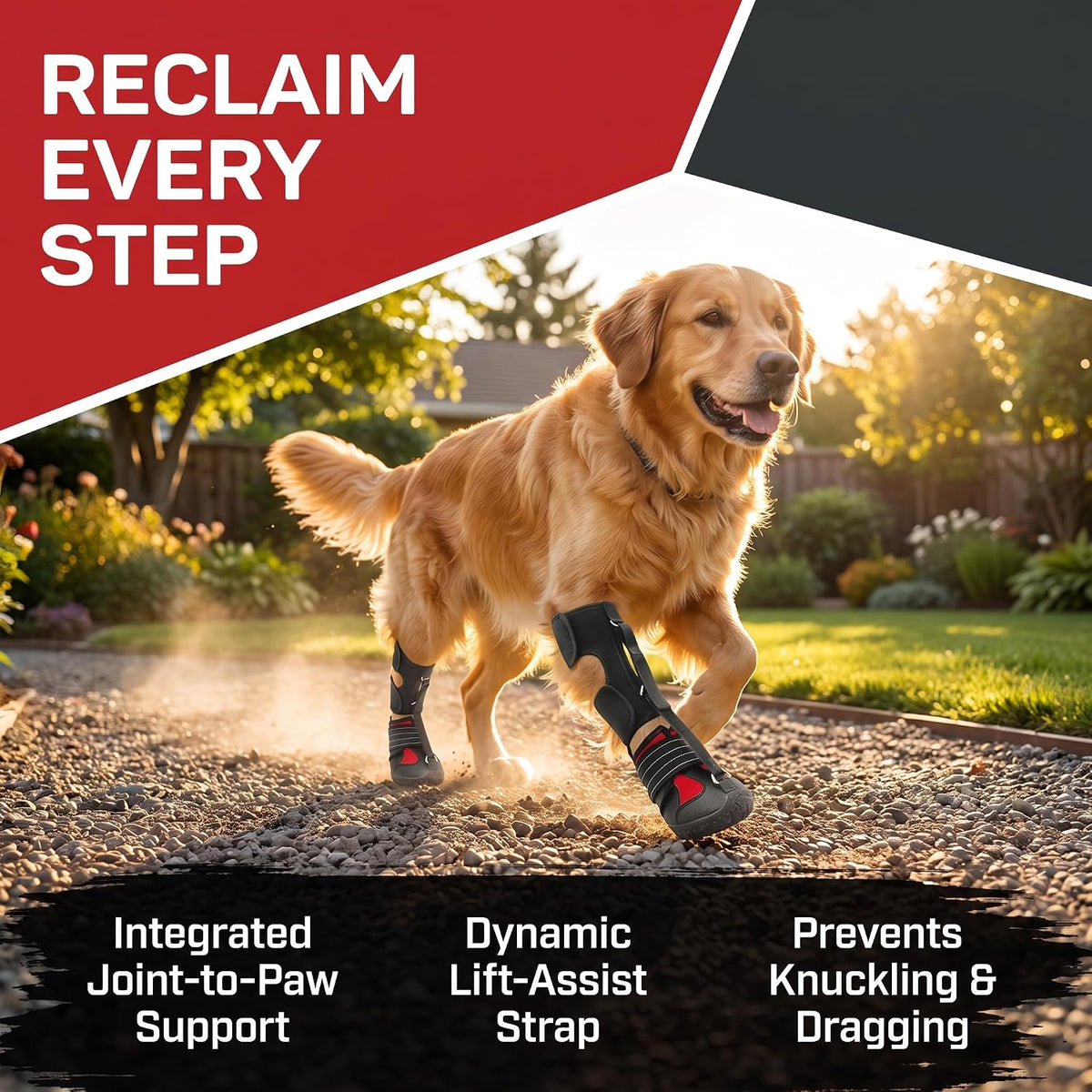 Paw Protectors for Dogs，Dog Brace for ACL Tear Back Leg，Corrective Dog Shoes Safely Lift Toes, Dog Brace for ACL Tear, A
