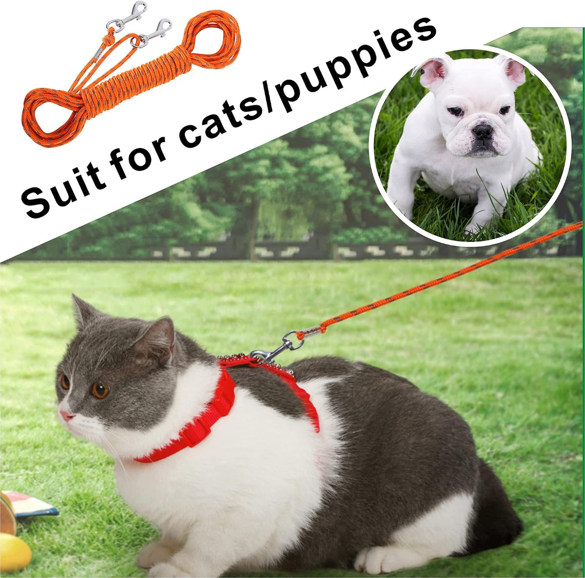 Reflective Cat Leash -50FT Cat Cable Out Escape Proof Walking Leads Yard Long Durable Safe Personalized Extender Leash T