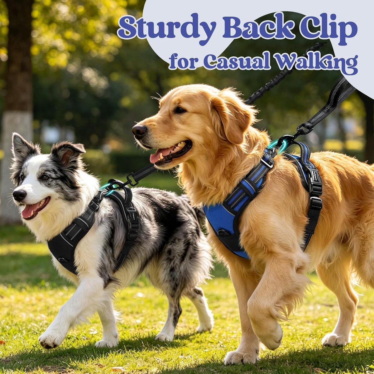 rabbitgoo Dog Harness for Large, Updated Easy On & Off with 3 Buckles