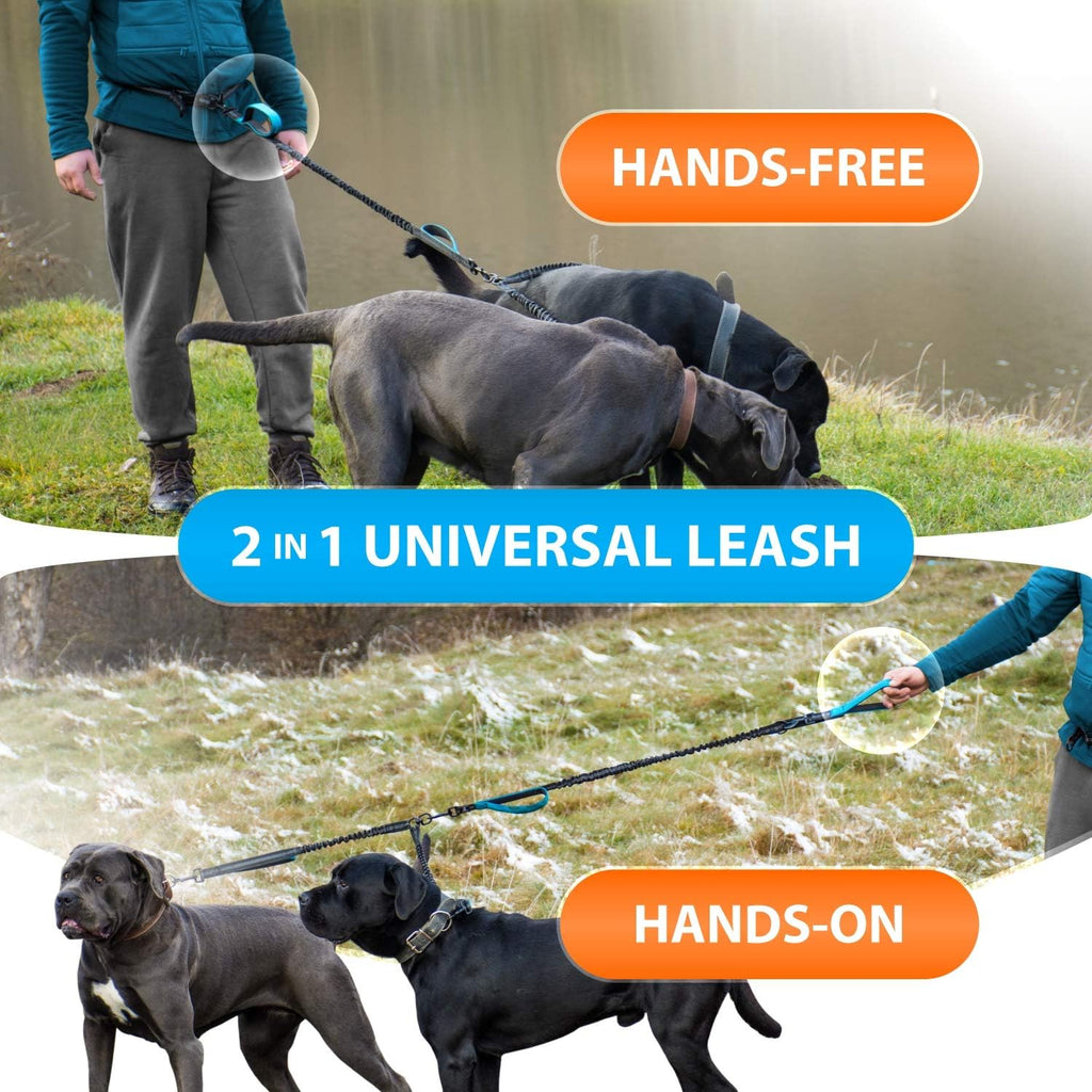 Active Pack Hands Free 2 Dogs Leash Medium & Large, Orange