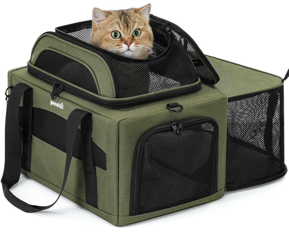 Pecute Top Expandable Airline Approved Pet Carrier for Cats, Olive Green