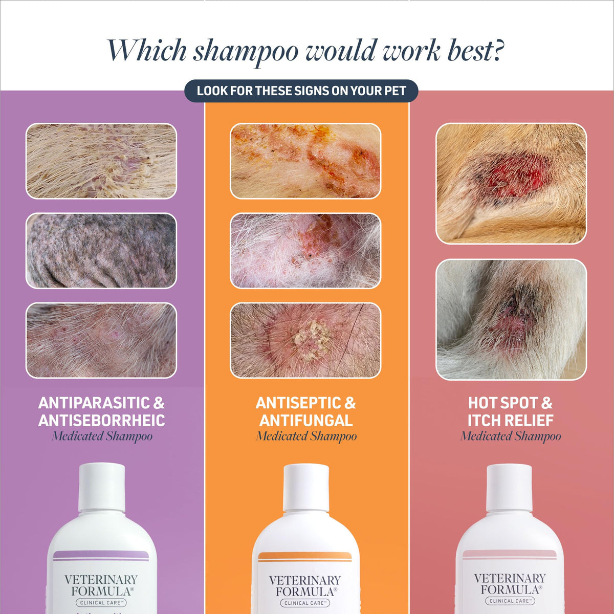 Veterinary Formula Antiseptic & Antifungal Shampoo - Medicated - 16 oz