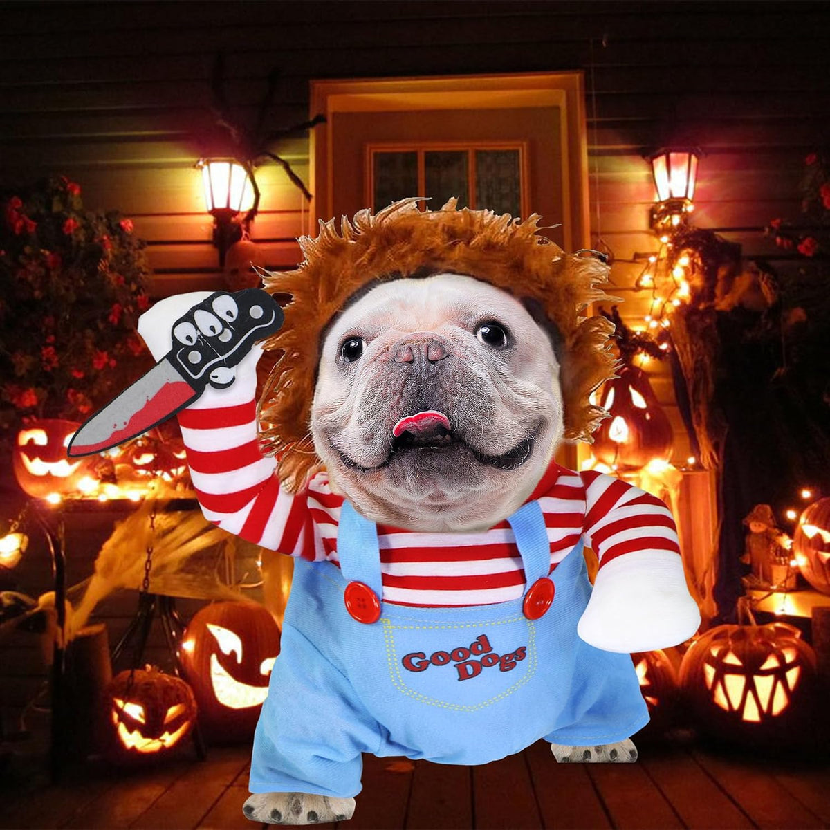 GOYOSWA Dog Halloween Costumes, Pet Deadly Doll Dog Costume Funny Dog Costumes Dog Halloween Costume Clothes for Small M