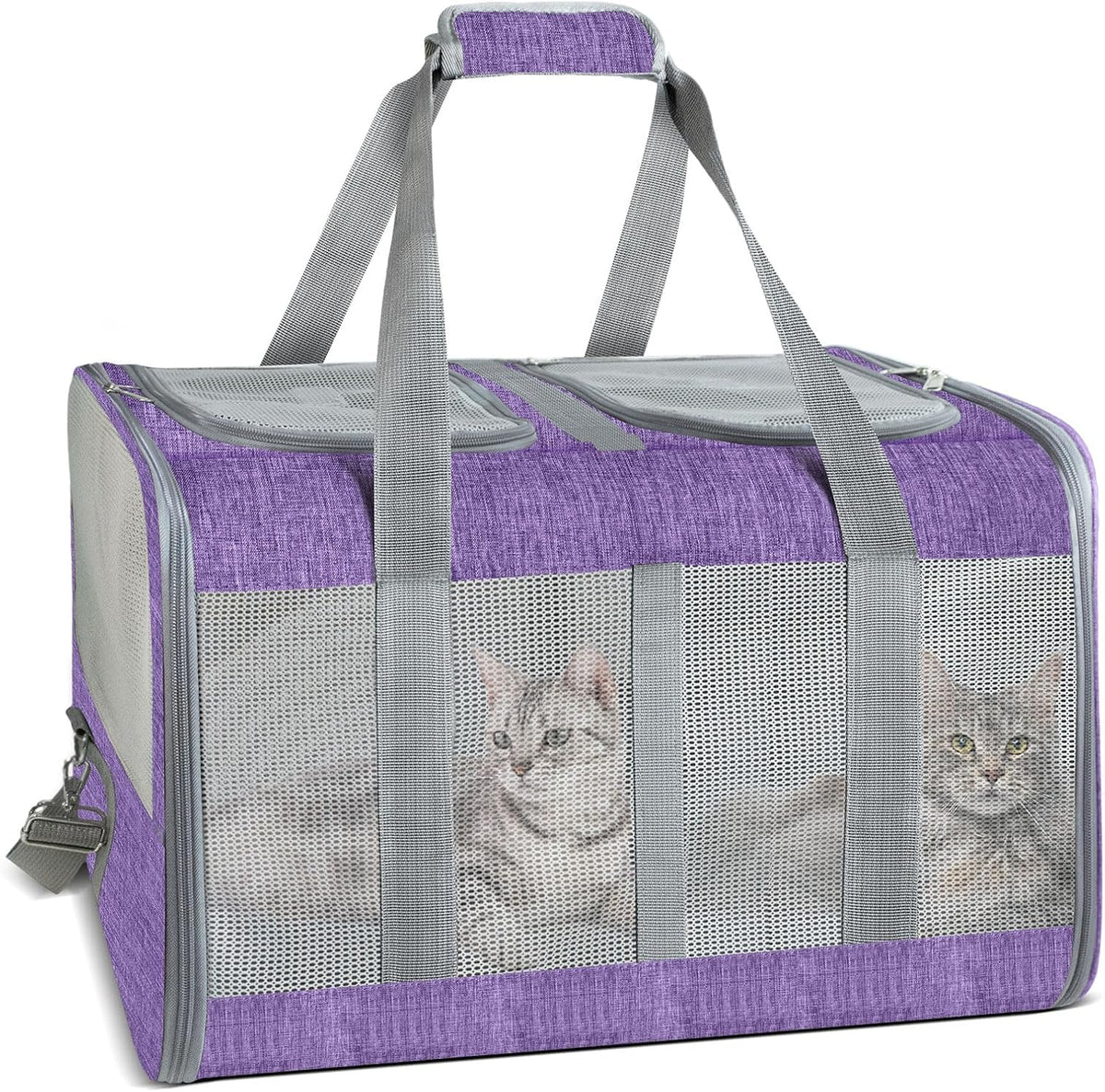 Soft-Sided Cat Carrier for 2 Cats, Gray, Breathable Mesh Design, Airline Approved Travel Bag for Small to Large Cats, Ex