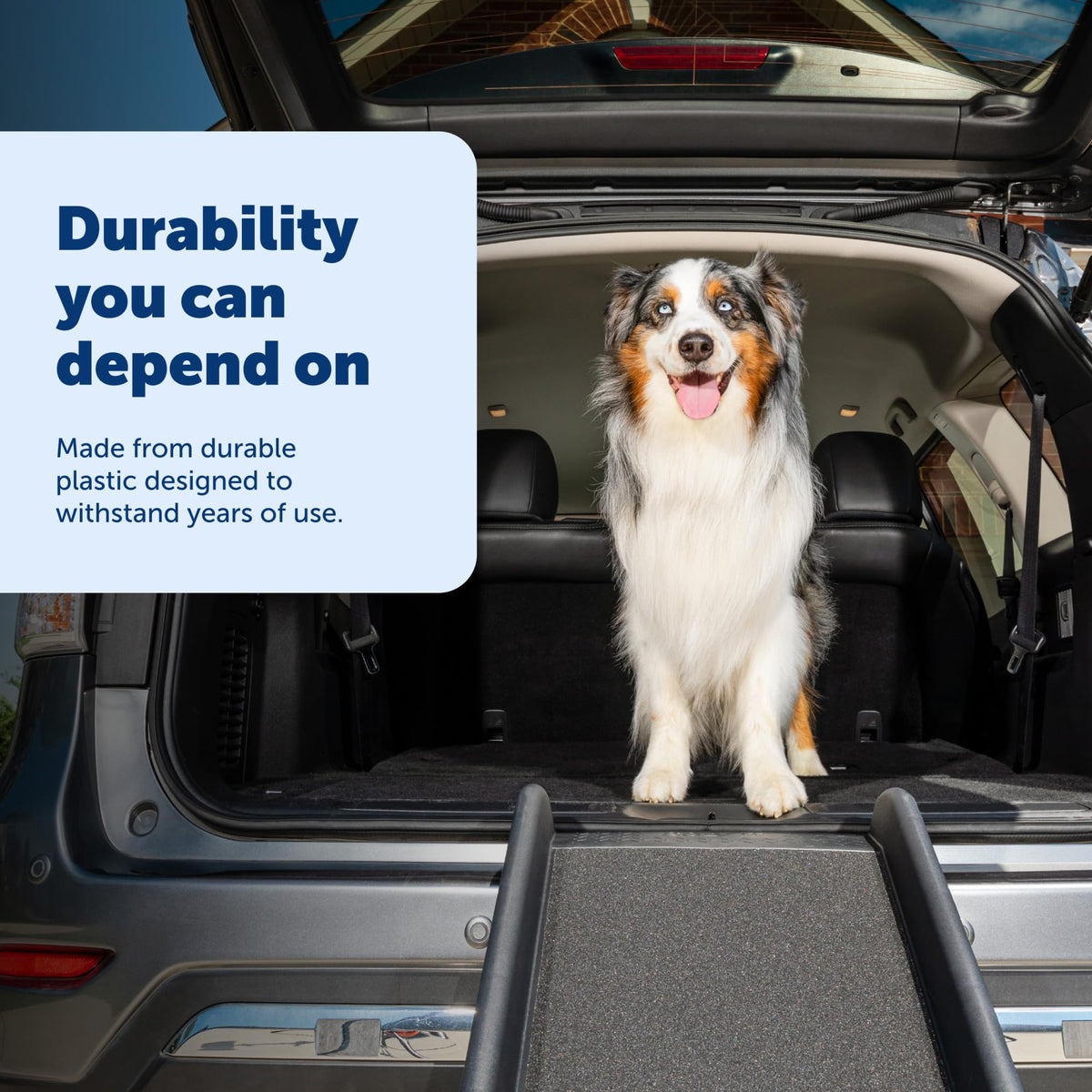 PetSafe Happy Ride Folding Dog Ramp