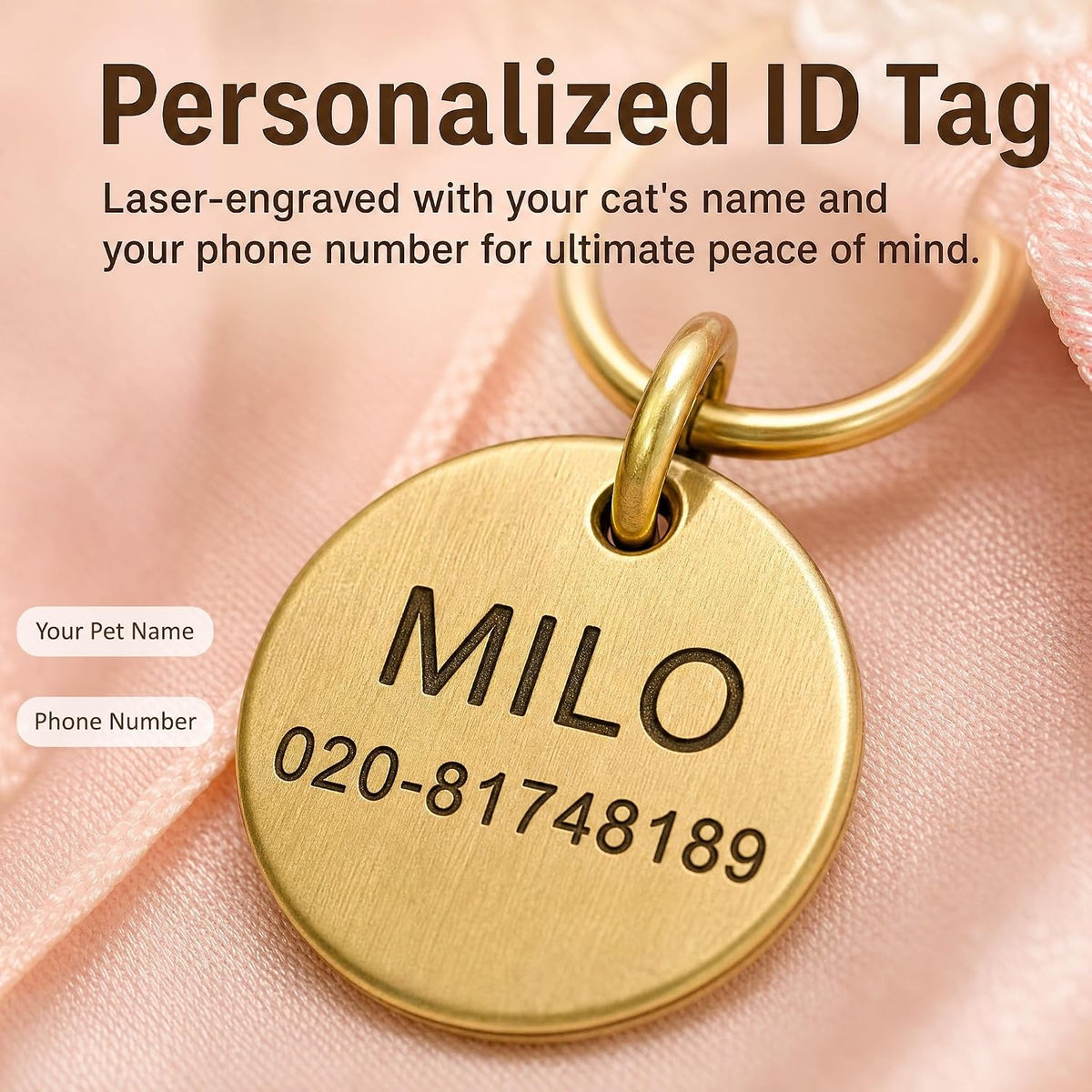 Personalized Cat Collar Bow Tie with Name Tag & Bell for Cats & Kittens