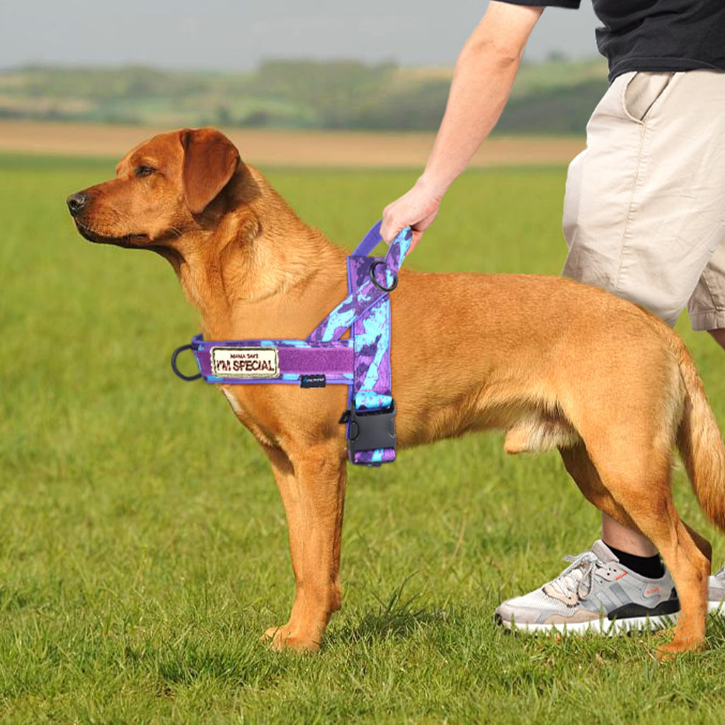 Annchwool No Pull Dog Harness with Padded Handle&Front Clip(CamoPurple,L)