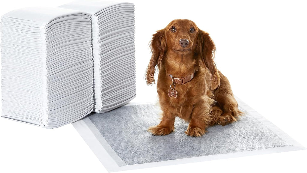 Amazon Basics Carbon Odor Control Dog and Puppy Pee Pads, 5-Layer Leak-Proof Super Absorbent, Quick-Dry Surface for Pott