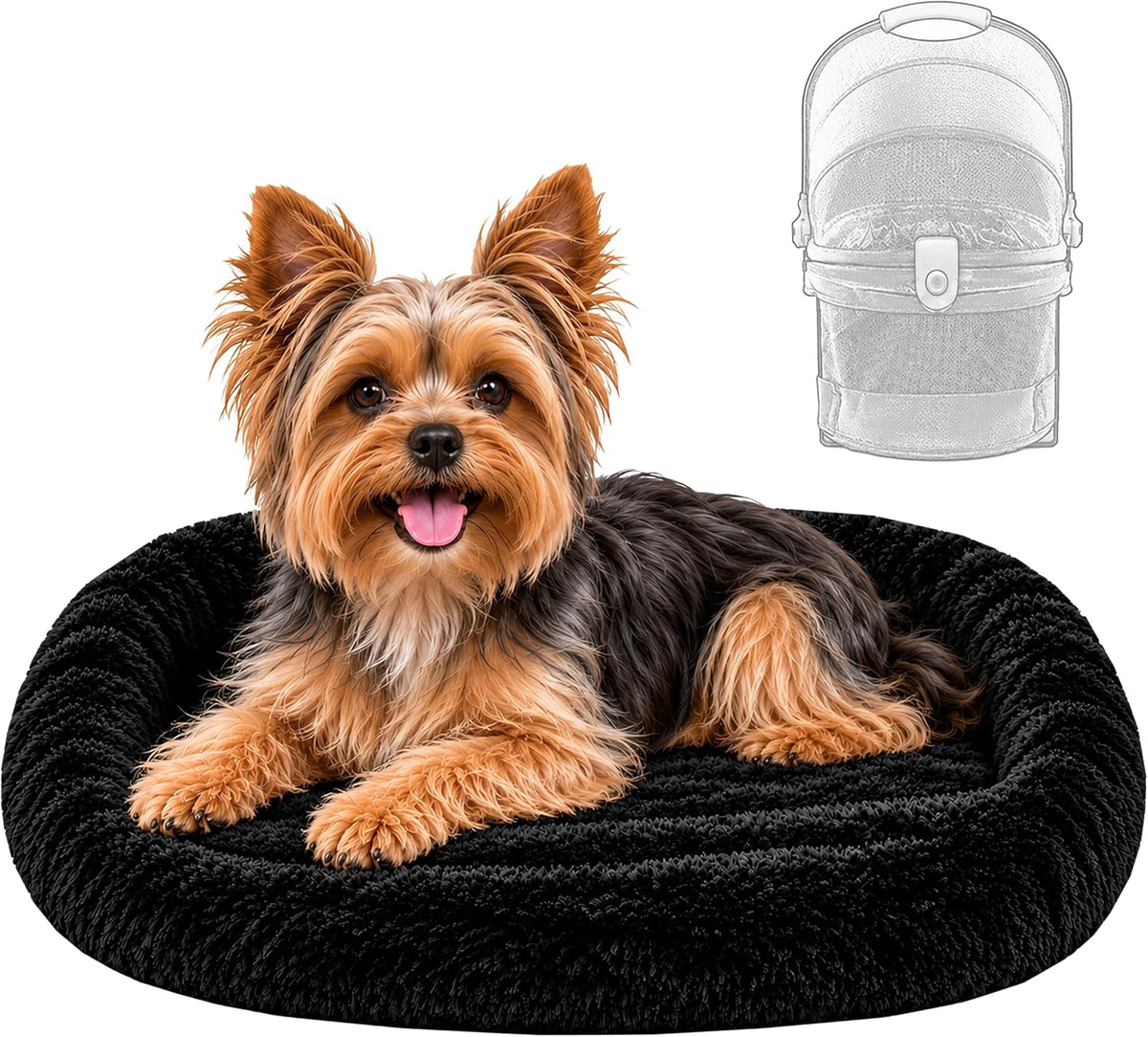 Pet Gear No-Zip View 360 Pet Carrier & Car Seat, Lava, 20"
