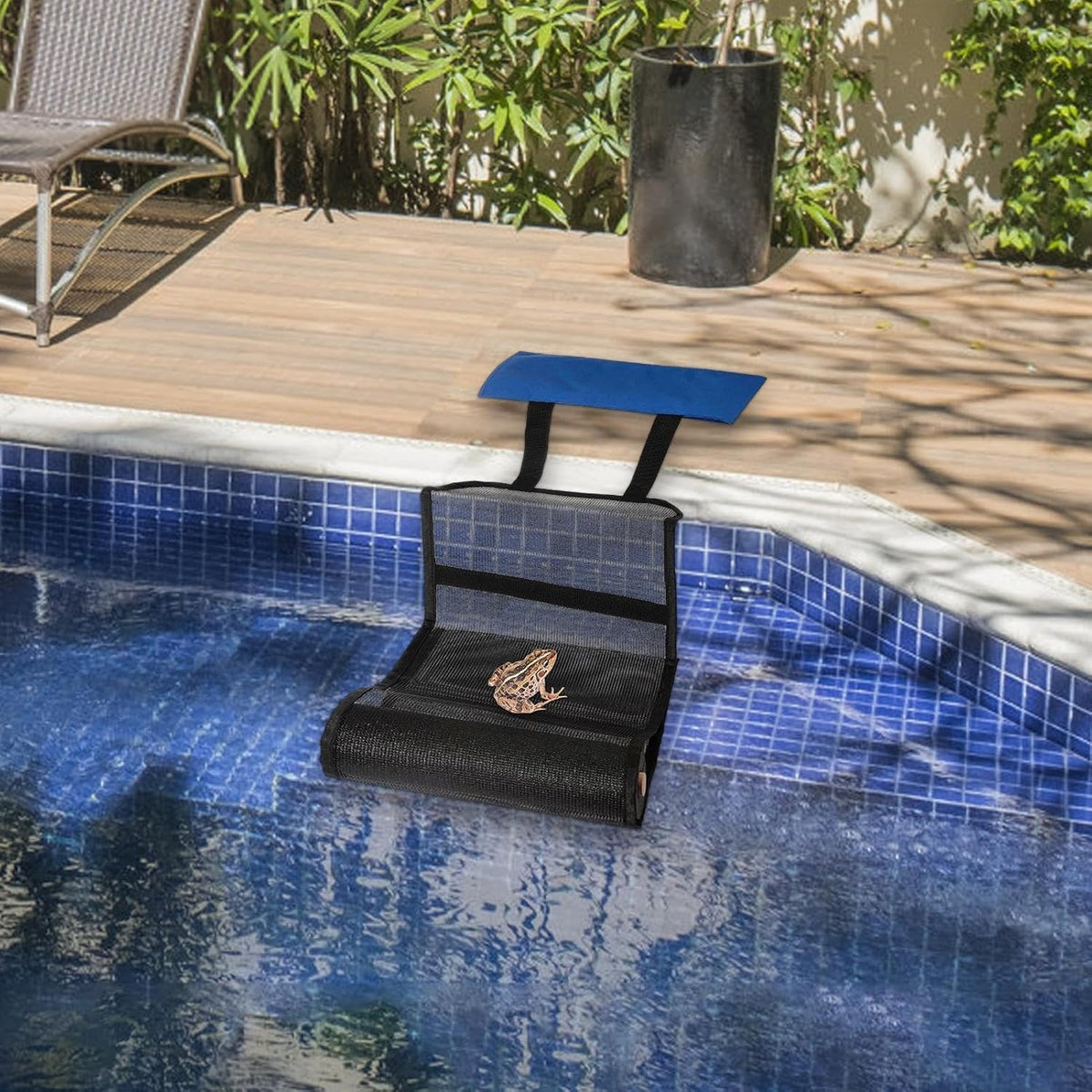 Animal Saver for Swimming Pools Blue Escape Ramp Compact and Saving