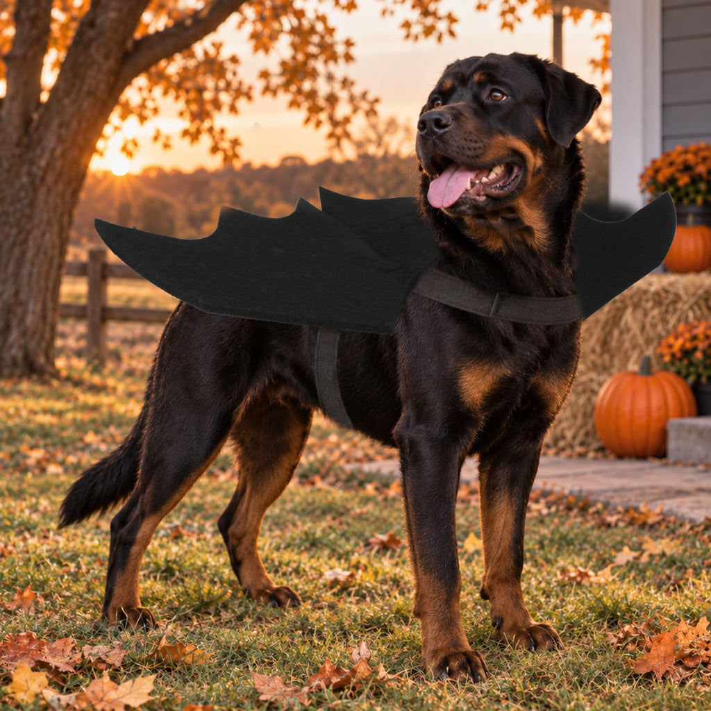 Rypet Dog Bat Wings Costume L, Dog Bat Costume for Halloween Cosplay Party