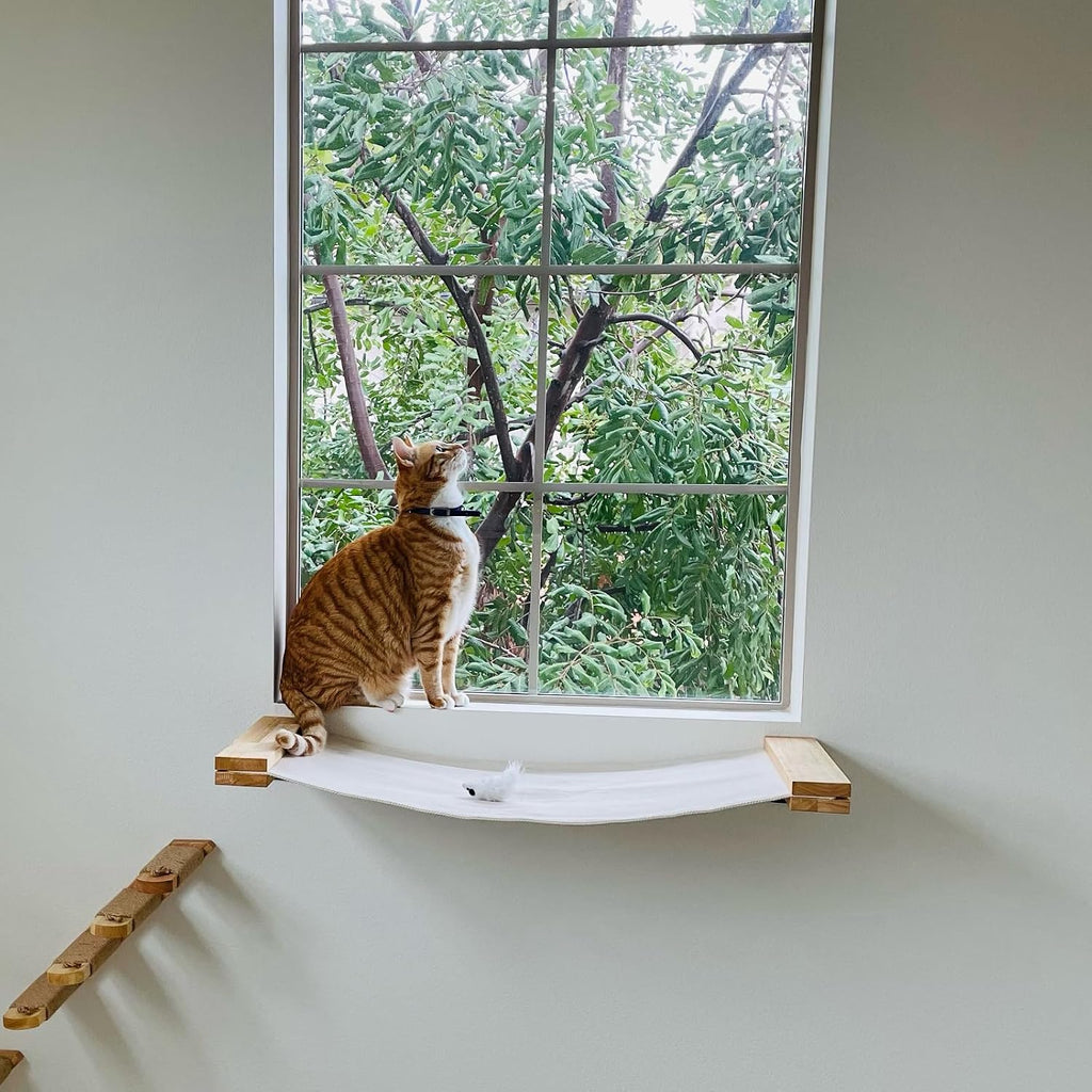 FUKUMARU Cat Wall Hammock, 34 x 13 inch Kitten Wall Furniture