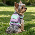 Dog Backpack Harness with Detachable Mini Pouch & Leash for Outdoor