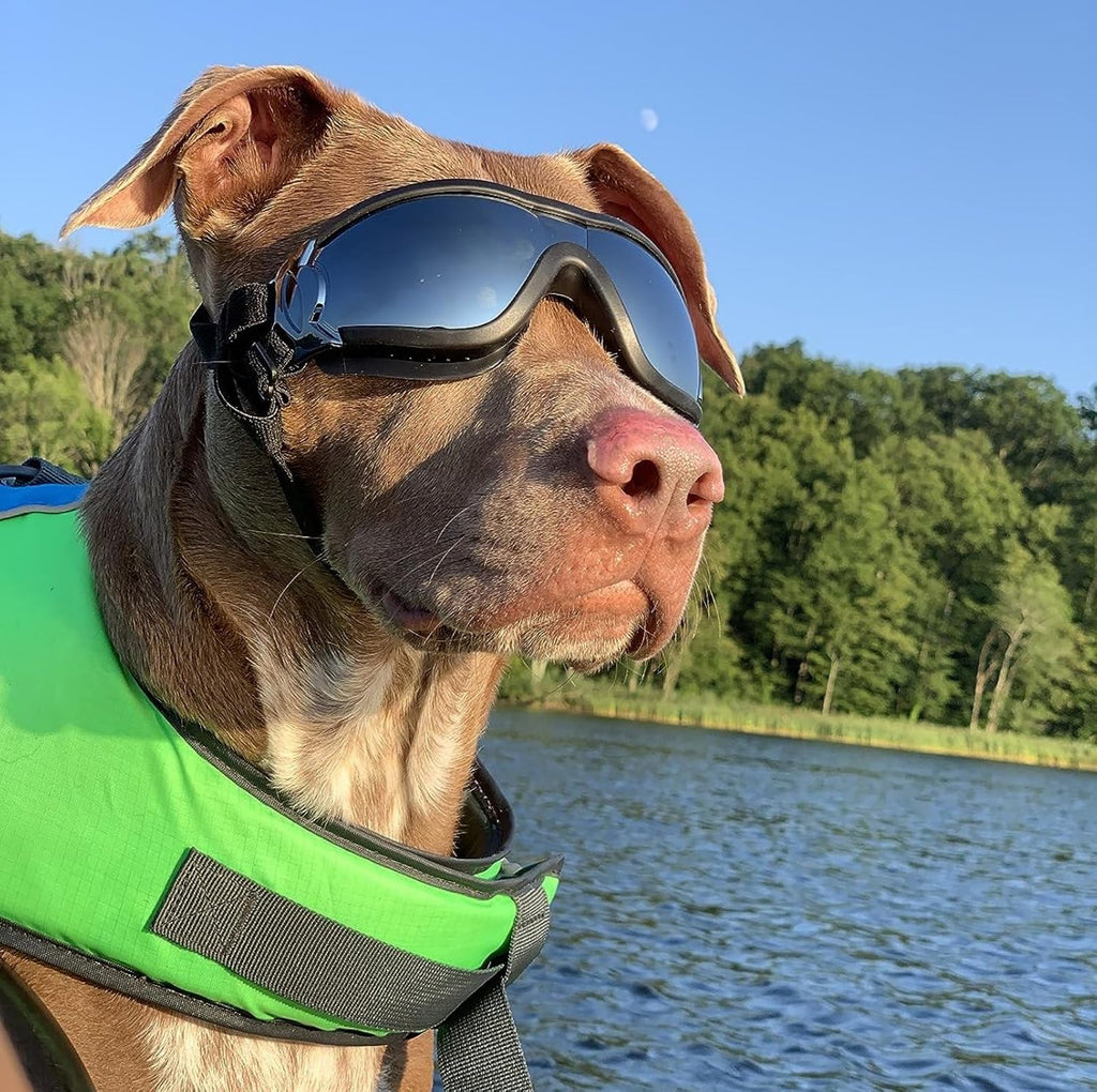 Large Dog Sunglasses Eye Protection, UV Protection Pet Goggles for Dogs Medium to Large Breed, Driving Glasses for Dogs 
