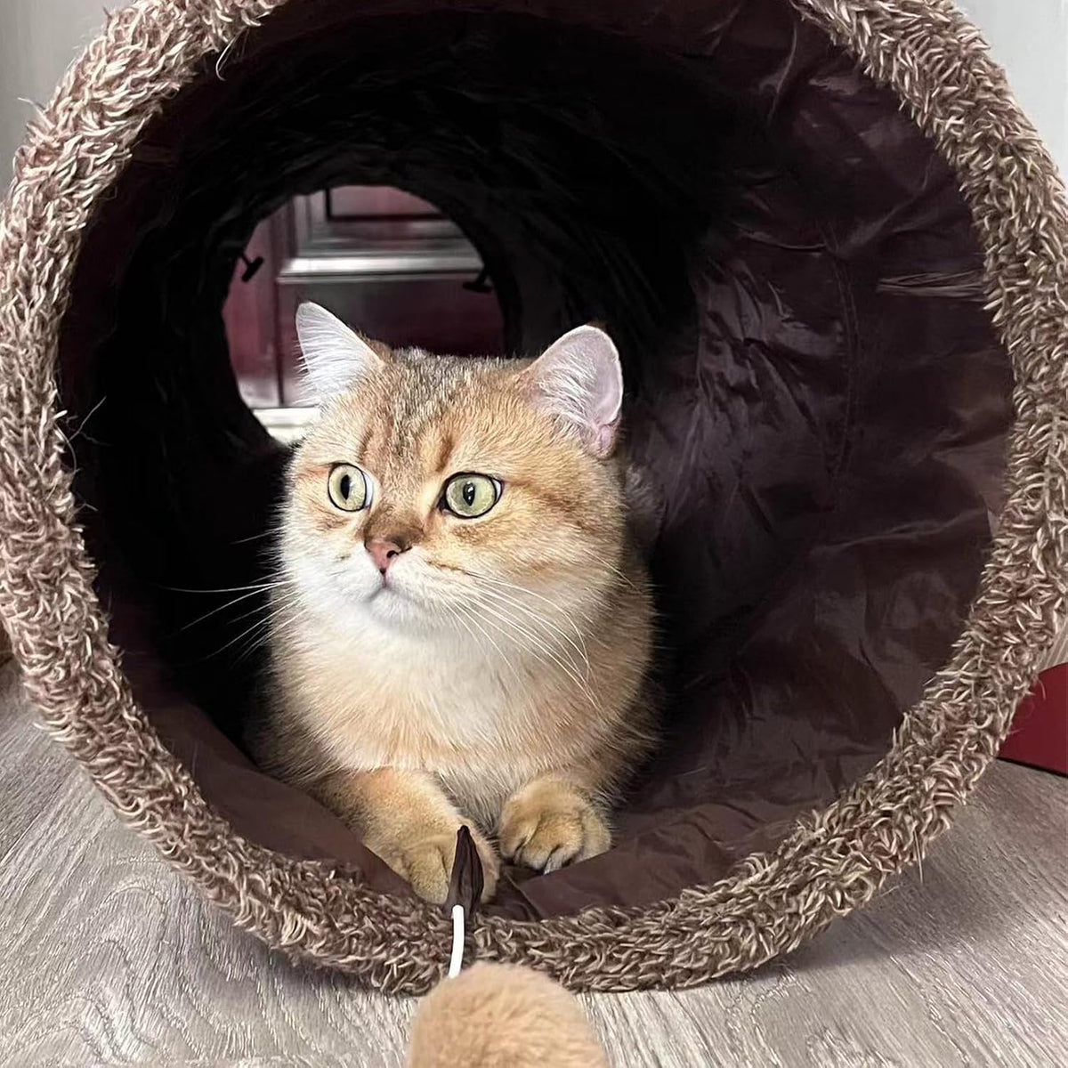 51"x 12" Collasiple Cat Play Tunnel, Cats Tubes and Tunnels, Cat Foldable Hide and Seek Tunnel Toy, Brown Suede Pet Tube