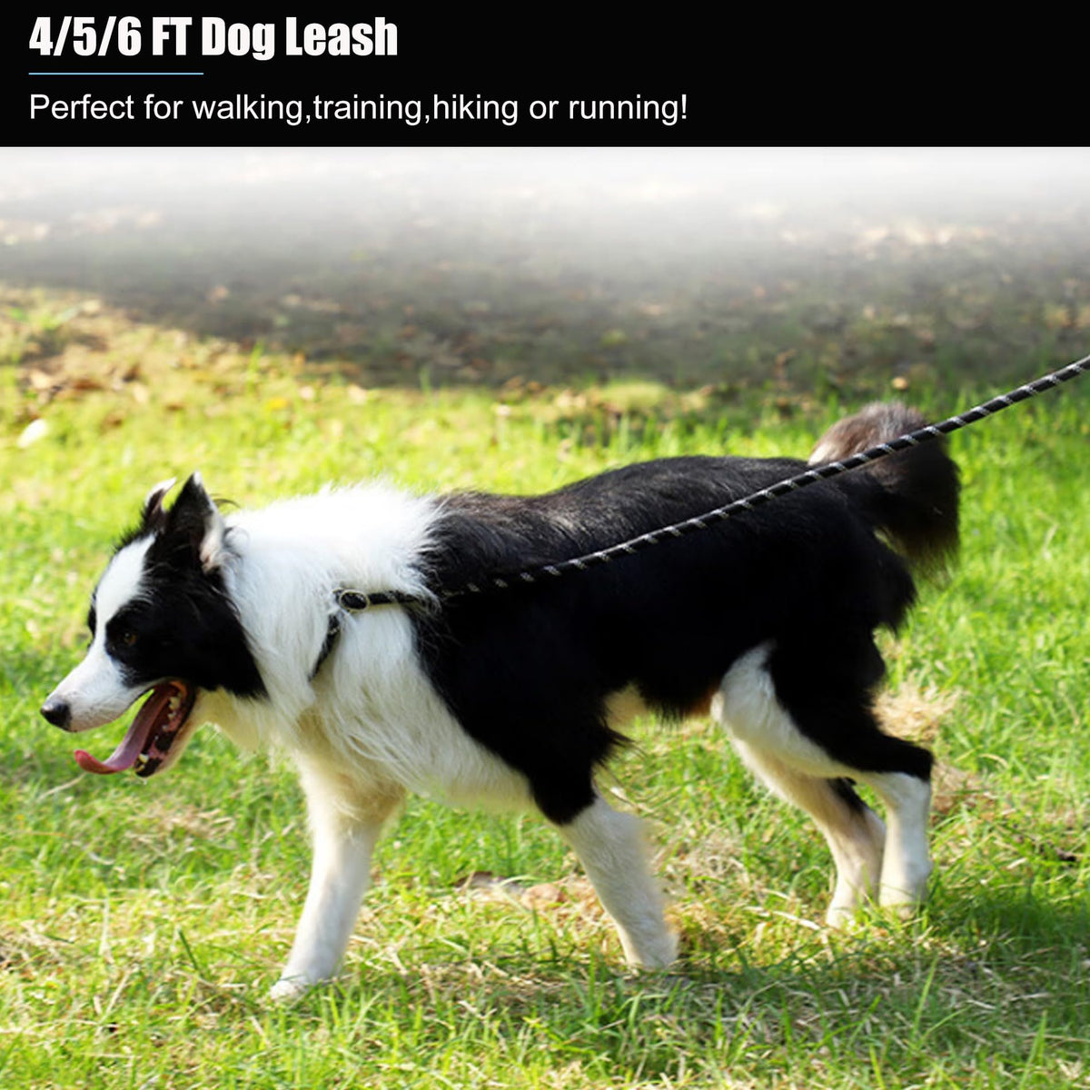 2 Pack Dog Leash, Heavy Duty Nylon Rope Pet Leashes (5FT-1/2,Black/Black)