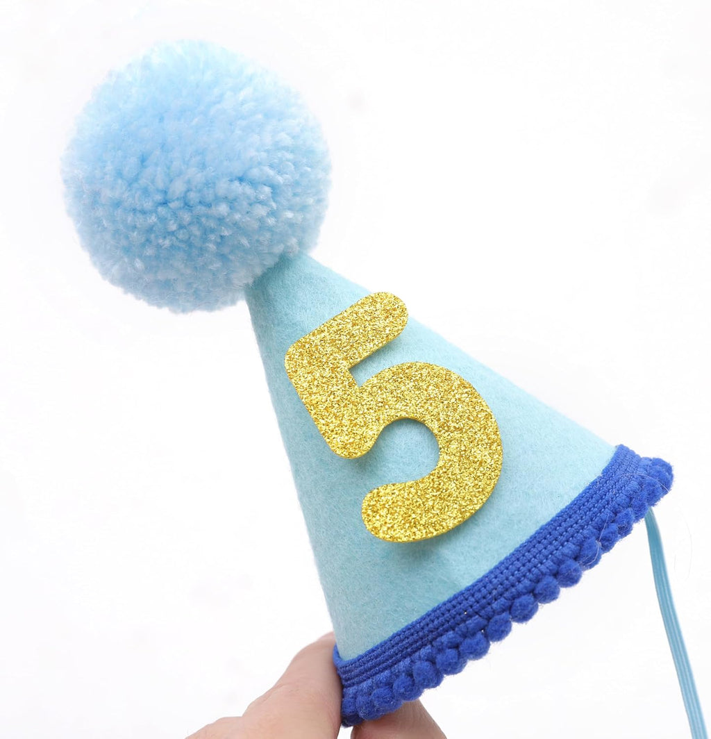 Pet Birthday Hat with Interchangeable Numbers 1-10 | Adjustable Pet Party Cone Hat for Dogs & Cats | Puppy Birthday Phot