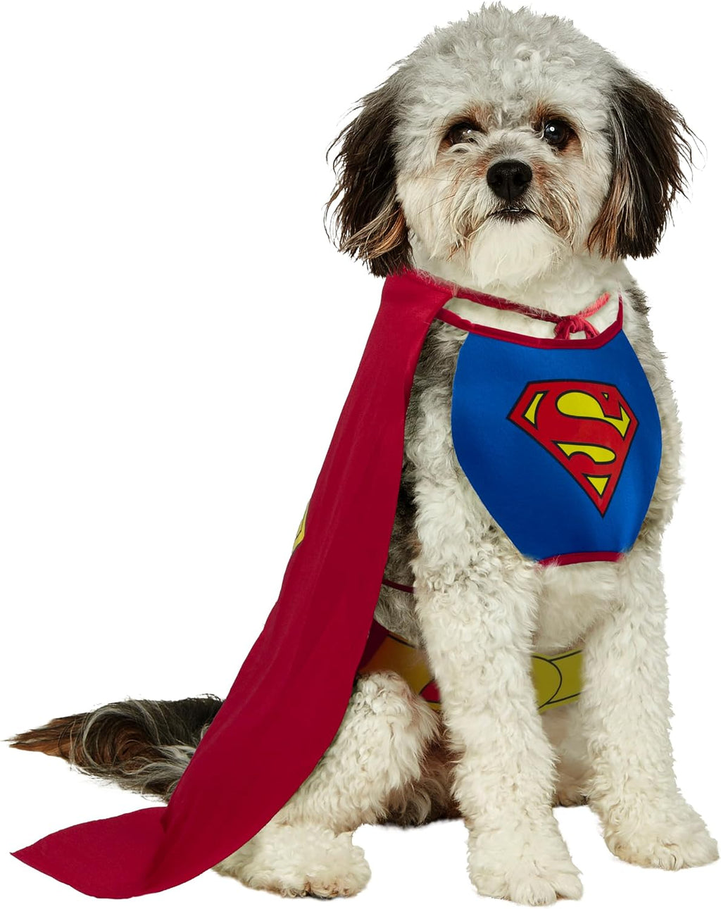 Rubies DC Comics Superheroes: Superman Pet Costume for Dogs or Cats, Medium