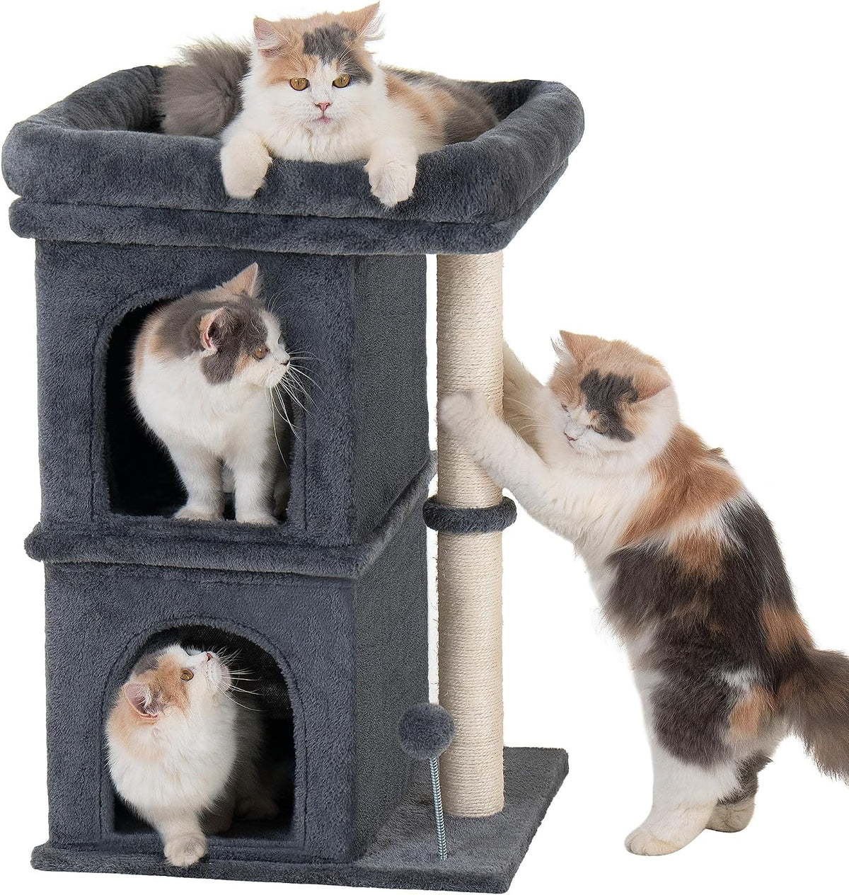 Cat Tree for Large Cats, 20x16.5 Perch Bed for Adult Senior Cats