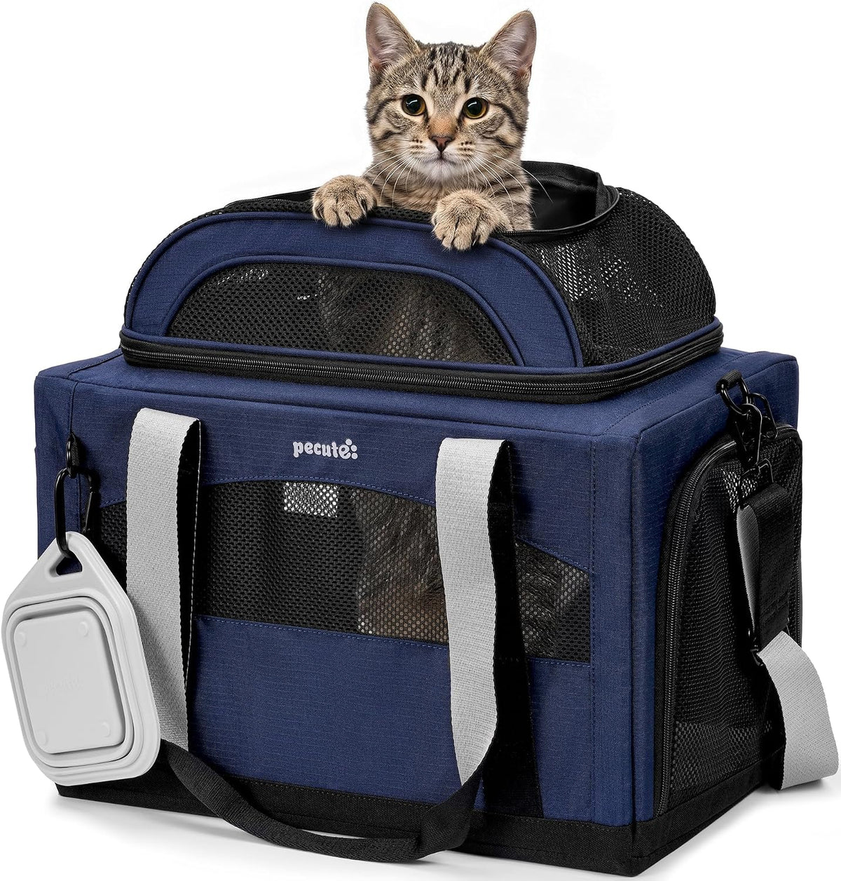 Pecute Cat Carrier,Top Expandable Dog Crate for Travel, Grey