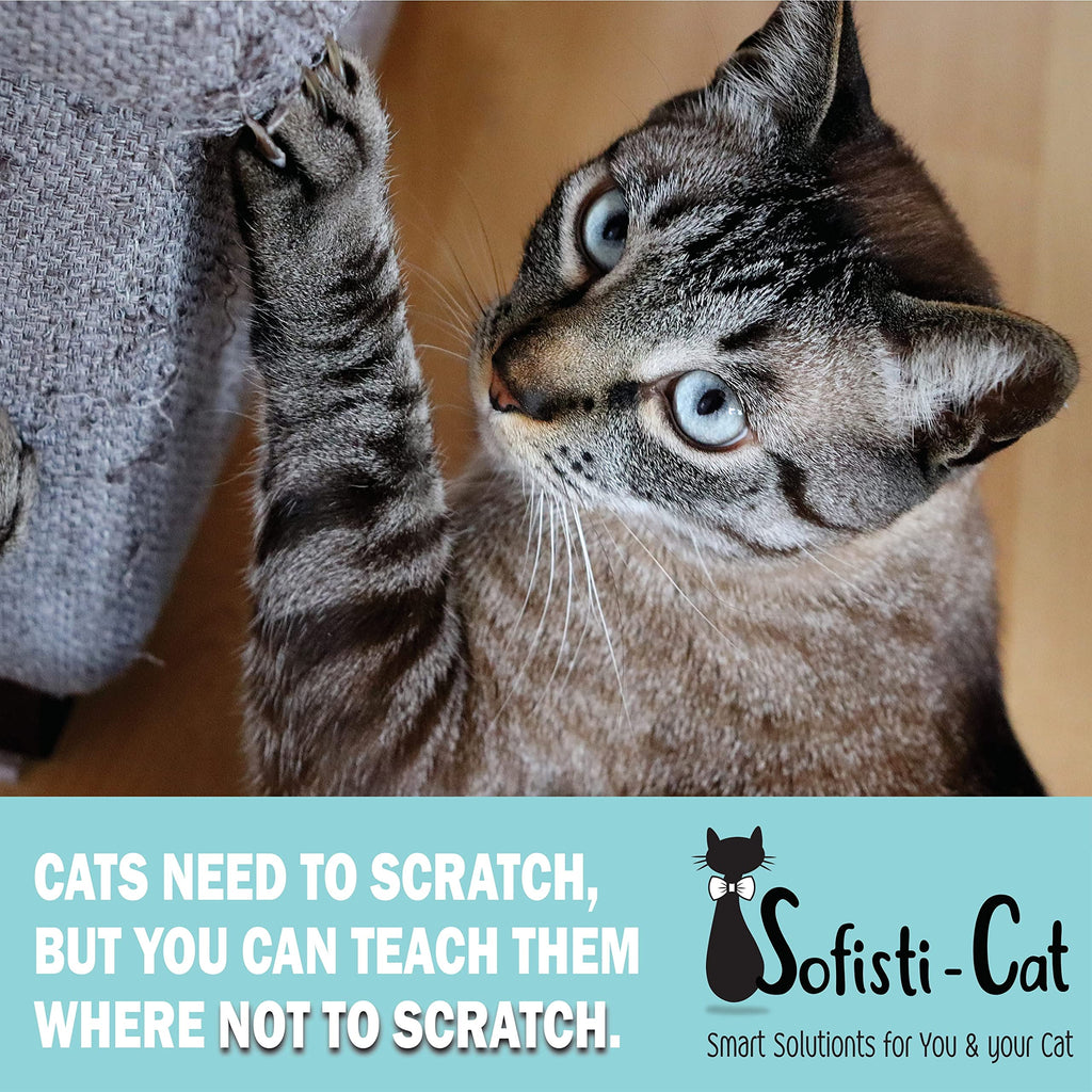 Sofisti-Cat Training Tape, Cat Tape for Furniture, Scratch Deterrent Keep Cats from Scratching Furniture with Our Double -Sided Repellent, 2.5" x 15' Roll