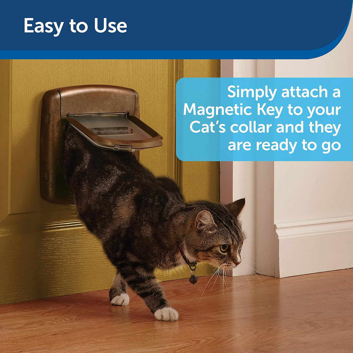 PetSafe Magnetic Key for Cat Flaps, 2-Pack