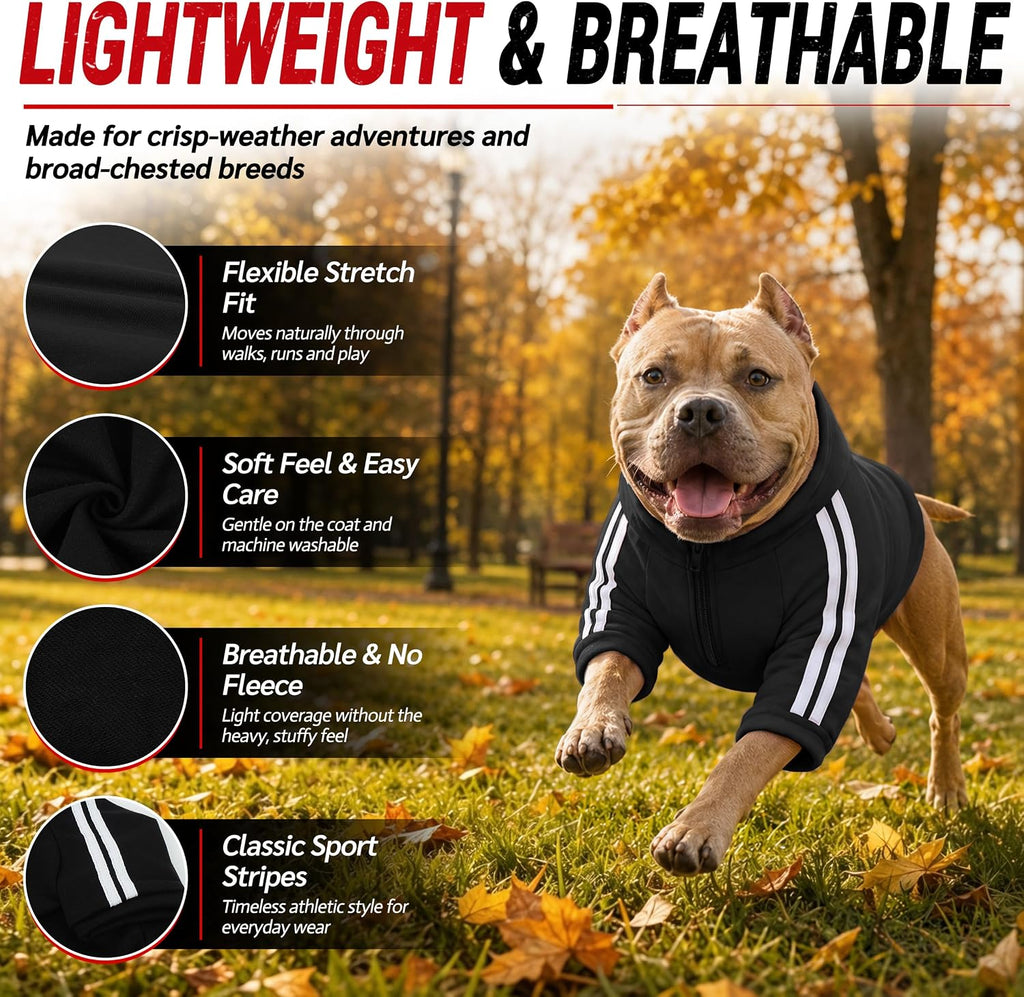 Bulldog Sweatshirt for Broad-Chested Dogs, Black, L