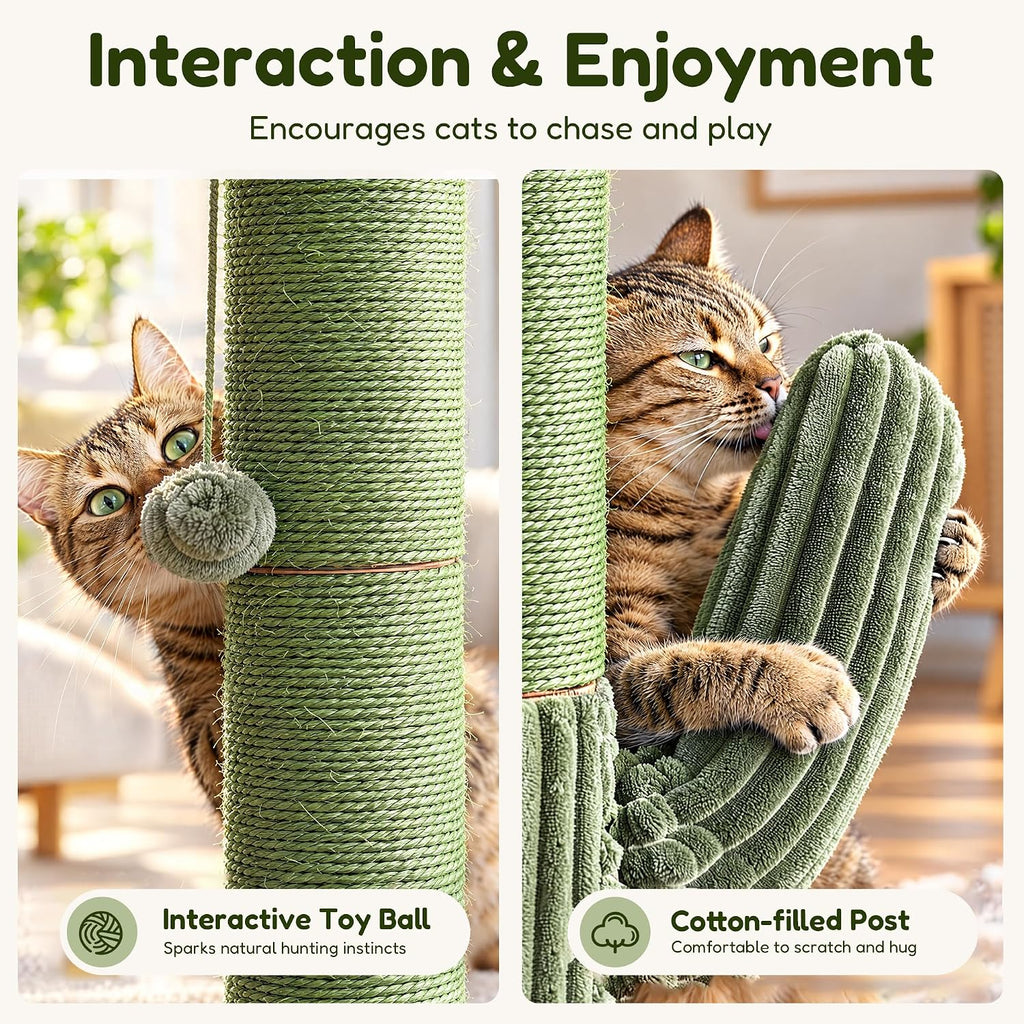 Cactus Cat Scratching Post, Natural Sisal Cat Scratcher with Toy