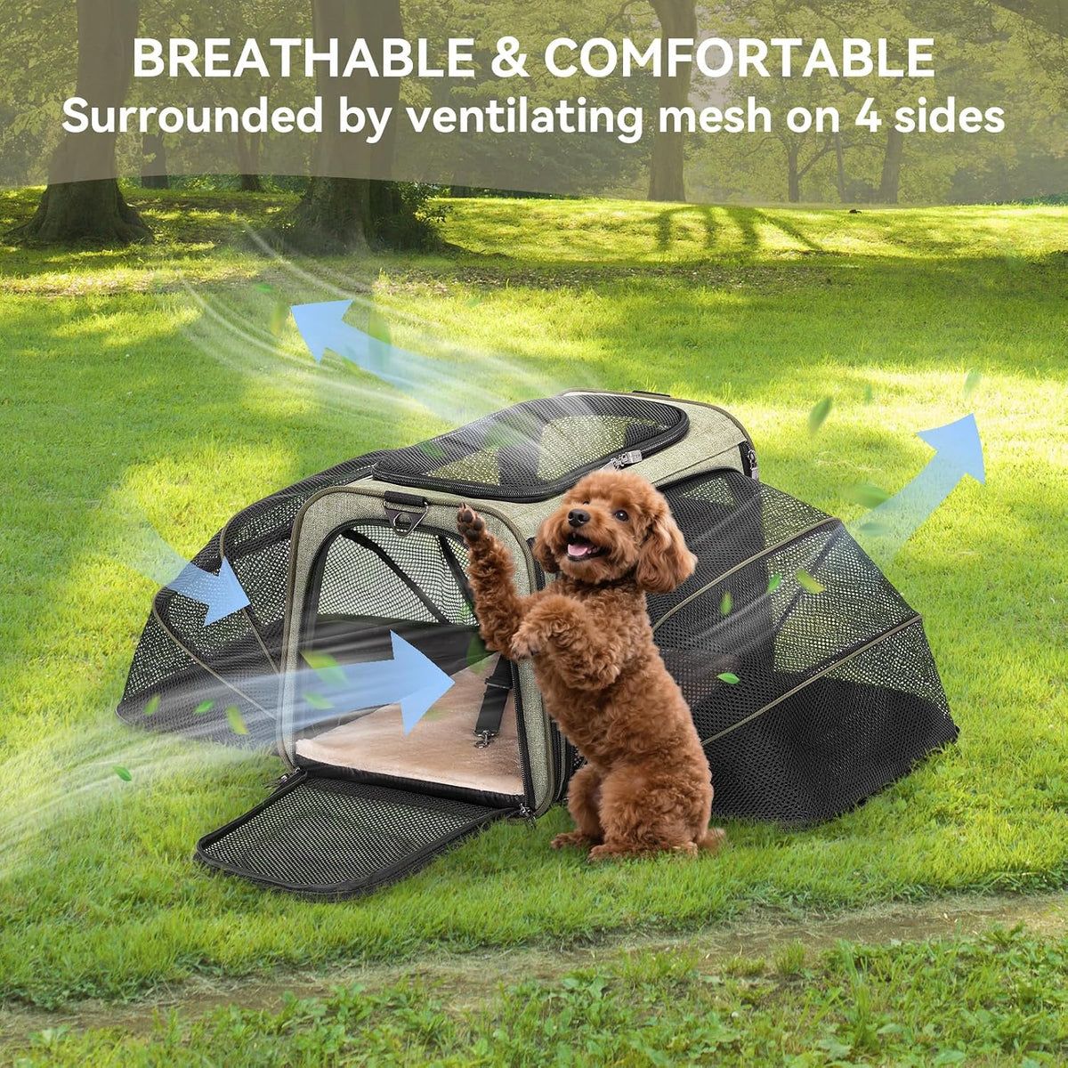 Petsfit Medium Double Expandable Cat Carrier for Cats and Small Dogs