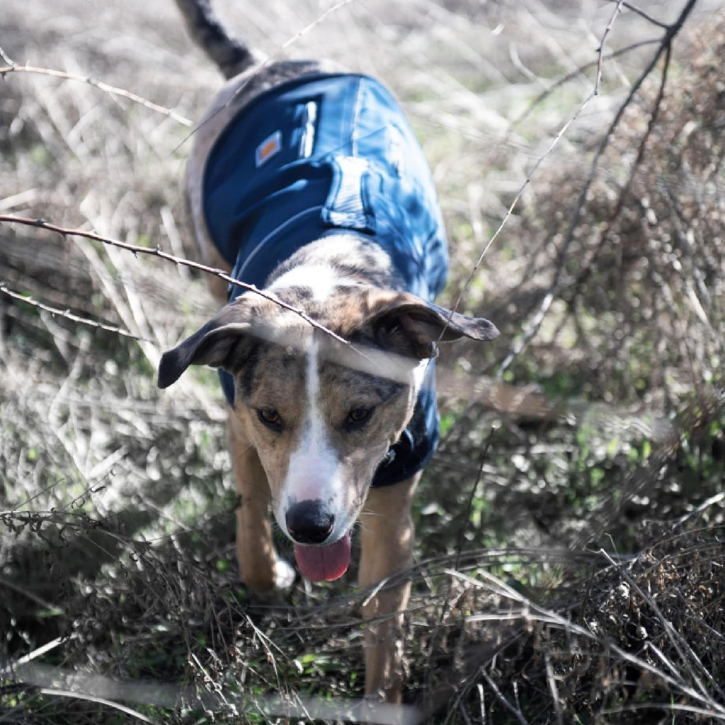 Carhartt Quick Duck Fleece-Lined Dog Jac Blaze Orange L