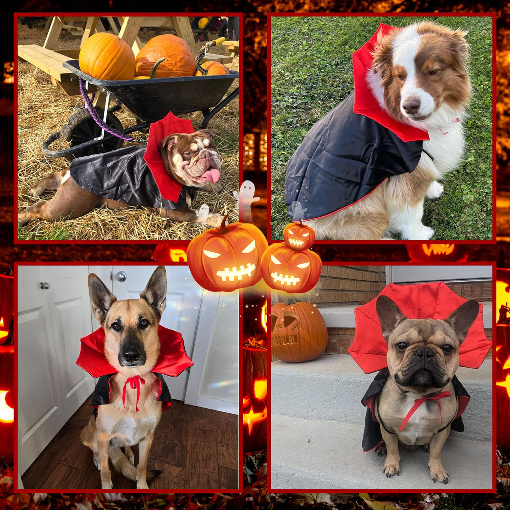 GOYOSWA Dog Halloween Costumes, Dog Vampire Devil Cloak Cape Costume Halloween Costumes for Small Medium Large Dogs Pets (Large)