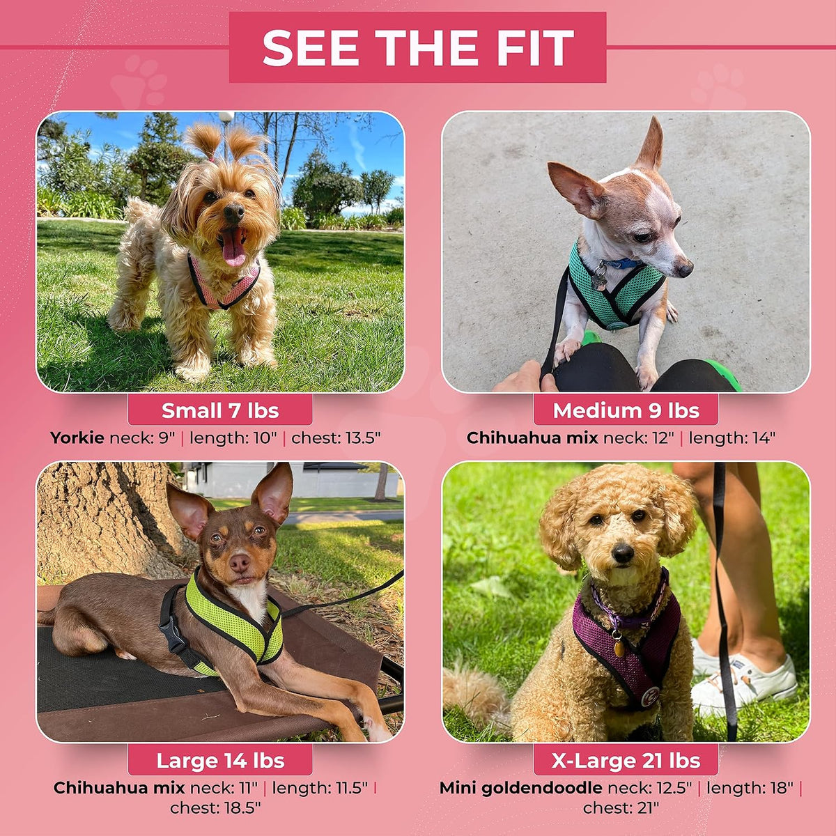 Gooby Comfort X Head-in Dog Harness, Choke-Free, Pink, Medium