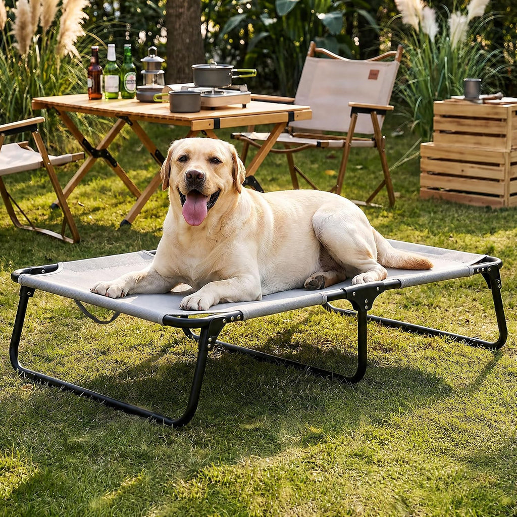 Foldable Elevated Dog Cot Bed, Raised Pet Beds for Large & Medium Dogs
