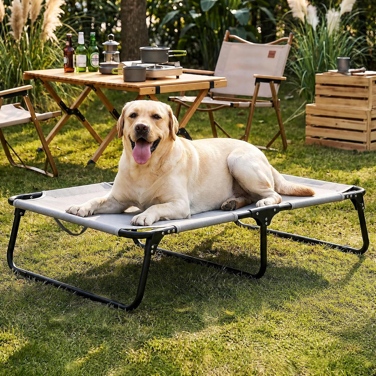 Foldable Elevated Dog Cot Bed, Raised Pet Beds for Large & Medium Dogs