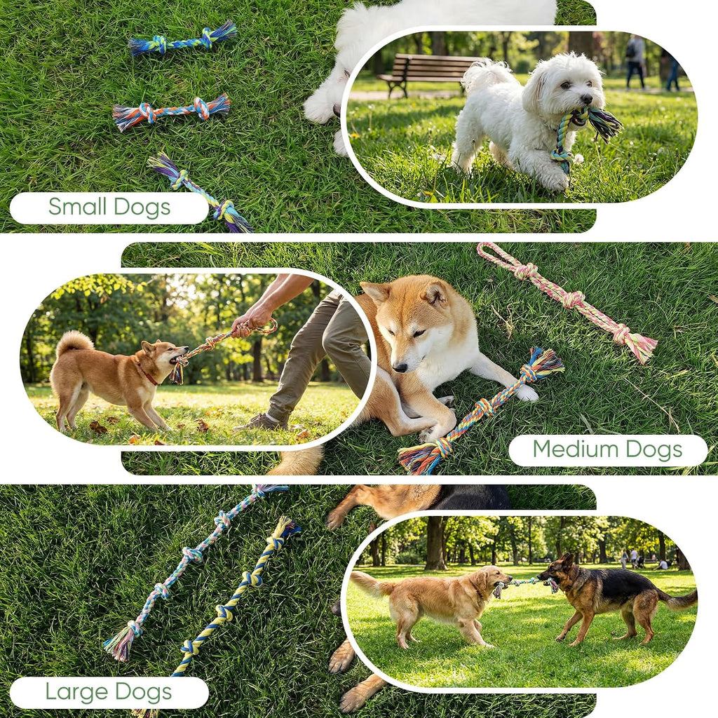 Dog Rope Toys,10 Pack Cotton Chew Tug Toys for Small Medium Dogs