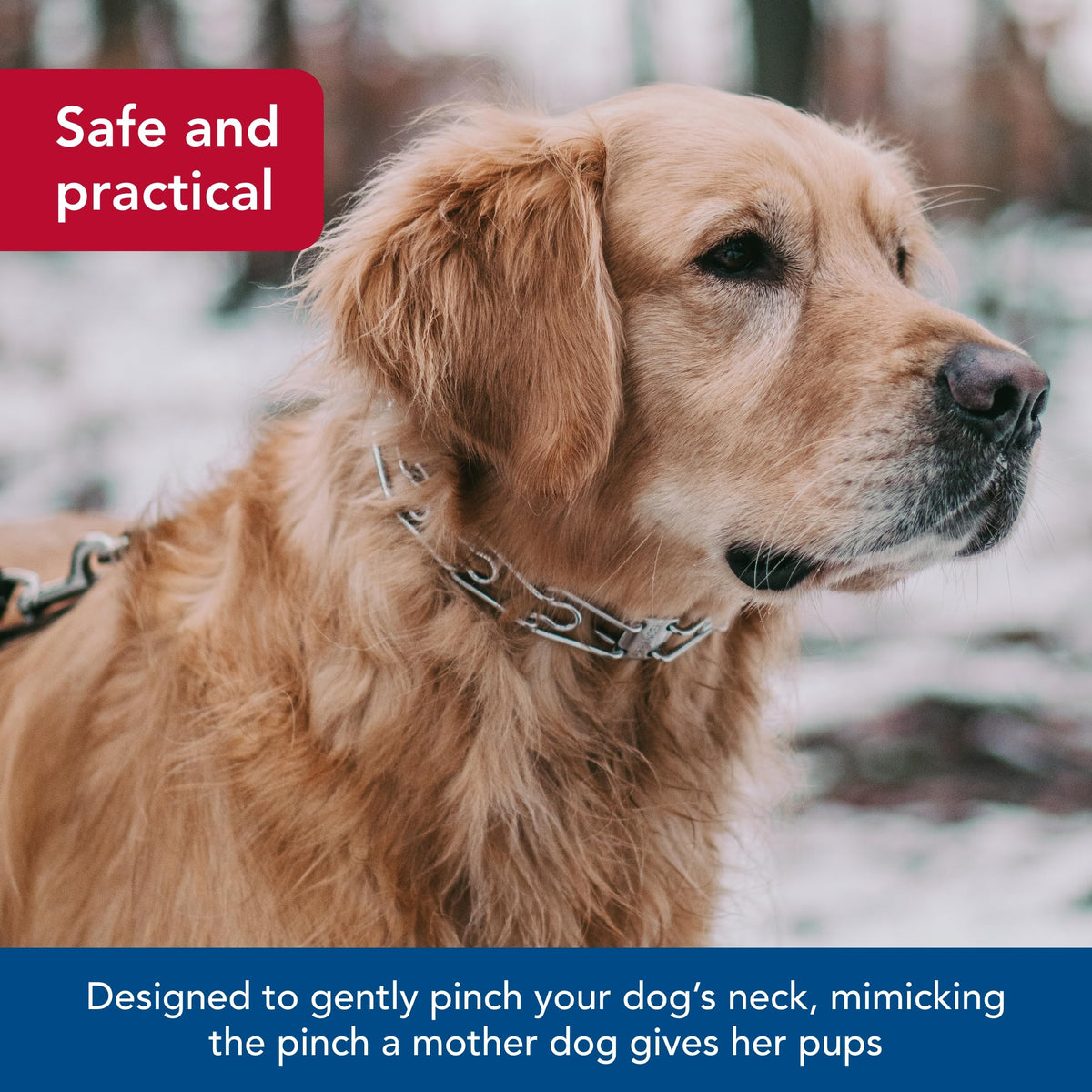 Coastal Pet Herm Sprenger Prong Collar, Chrome, 3.0 mm x 18"–20"