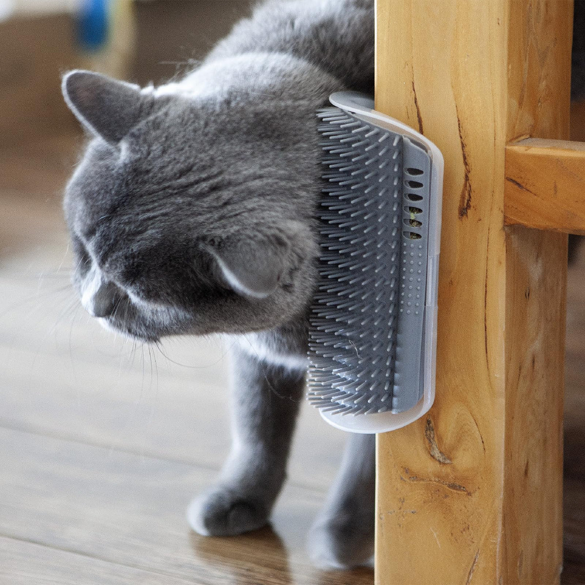 miwoowim 2PCS 6.1" Extended Cat Self Groomer, Wall Corner Massage Brush