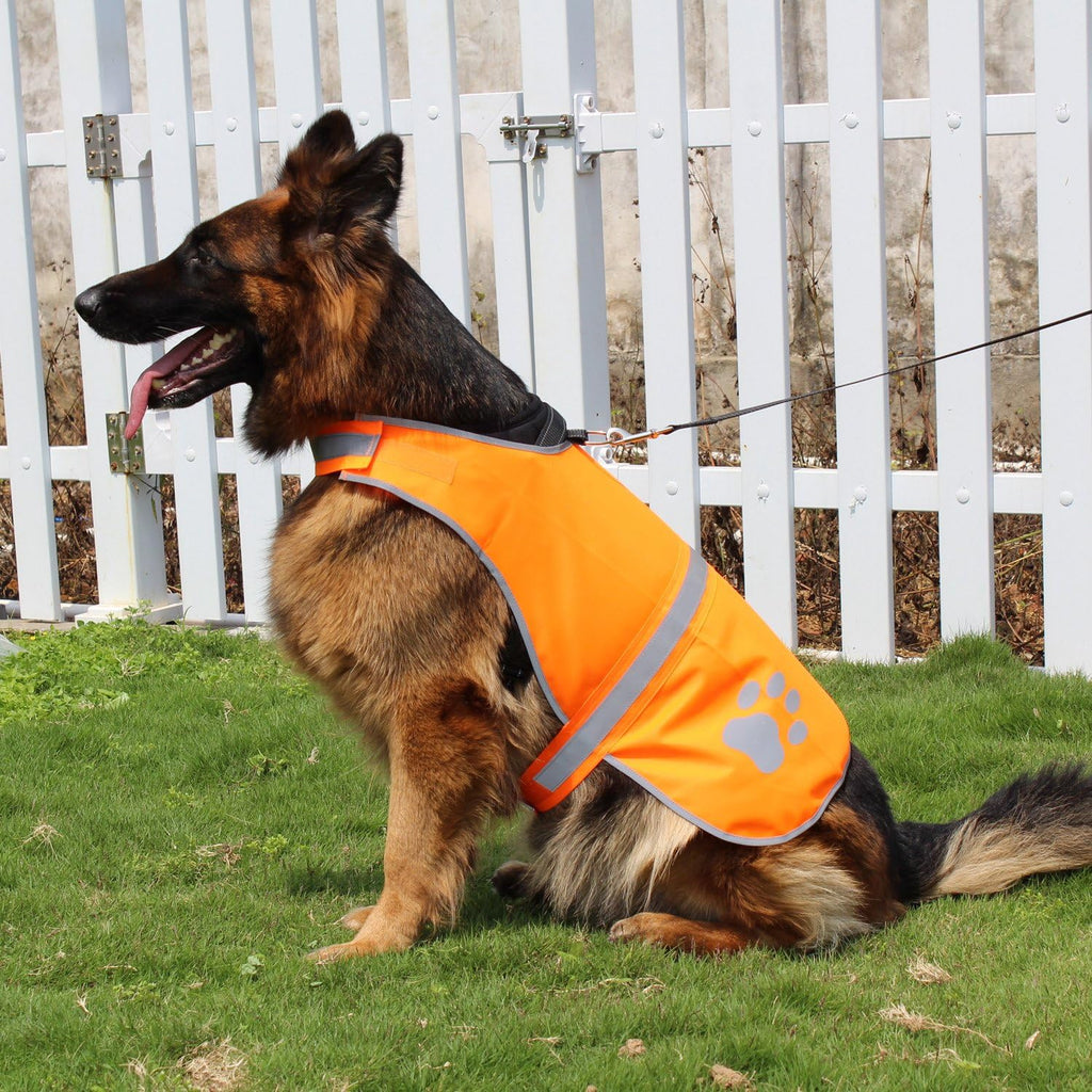 Dog Reflective Vest High Visibility Safety Jacket, Orange, XL