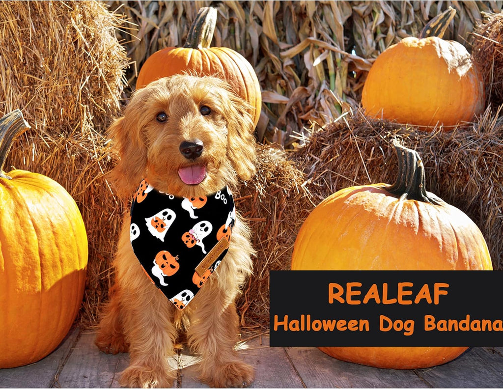 Halloween Dog Bandanas 2 Pack, Reversible Orange Pumpkin Pet Scarf for Boy and Girl, Premium Durable Fabric, Holiday Ban