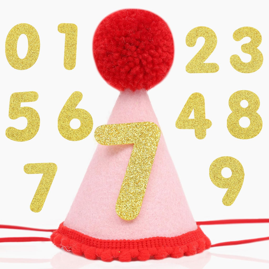 Pet Birthday Hat with Interchangeable Numbers 1-10 | Adjustable Pet Party Cone Hat for Dogs & Cats | Puppy Birthday Phot