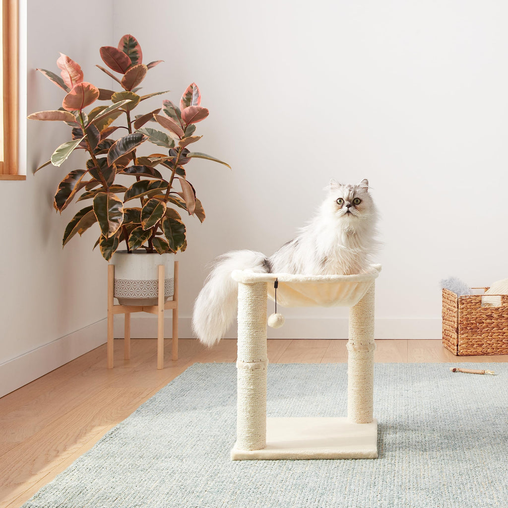 Amazon Basics Cat Tower with Hammock Bed and Scratching Post for Indoor Cats, Easy to Assemble, Interactive Hanging Ball, 15.8" x 15.8" x 19.7", Beige