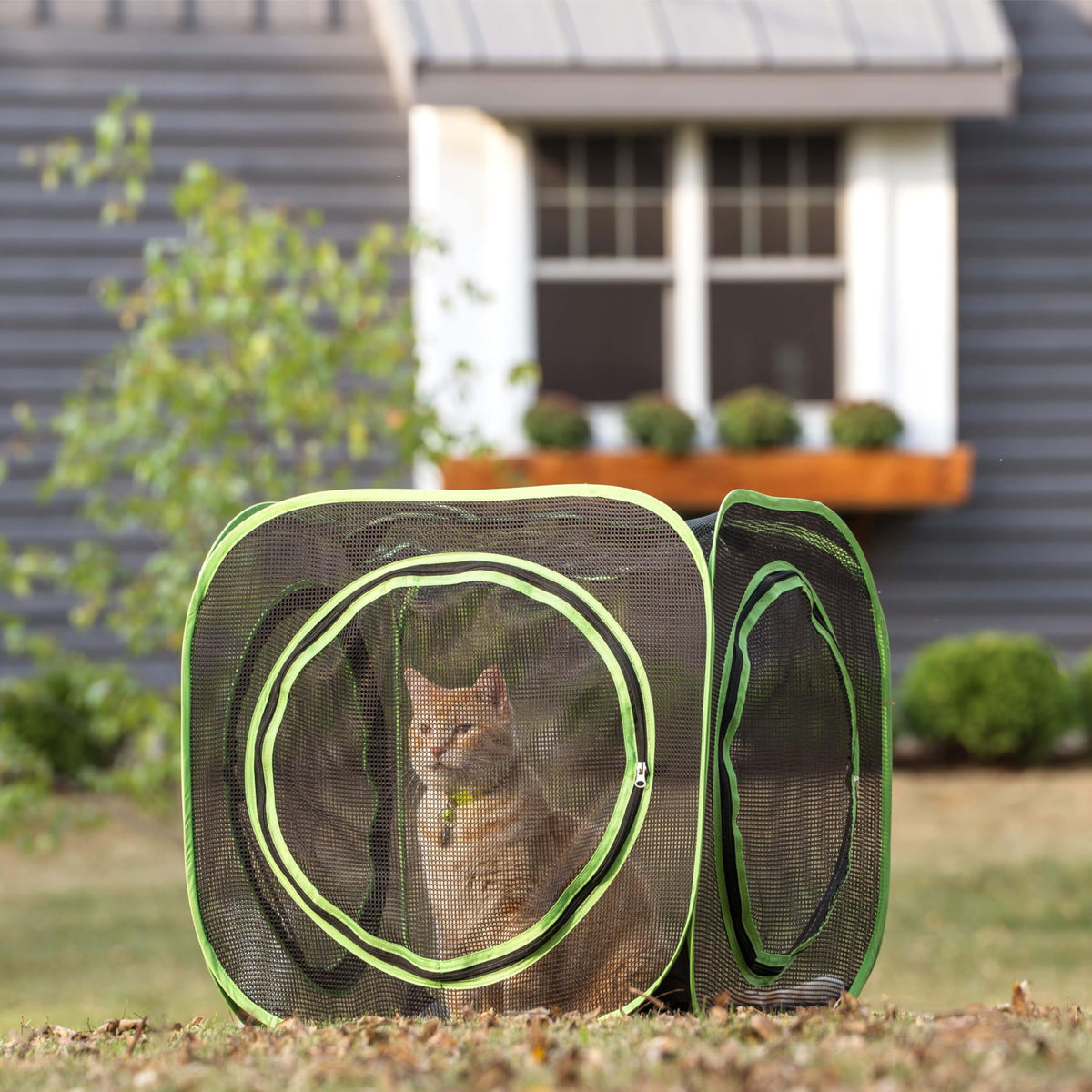 Kitty City Large Outdoor Cat Play Cube, Mesh Pop-Up Cat Enclosure for Indoor & Outdoor Use, Expandable Modular Cat Playpen with Zippered Access - Green
