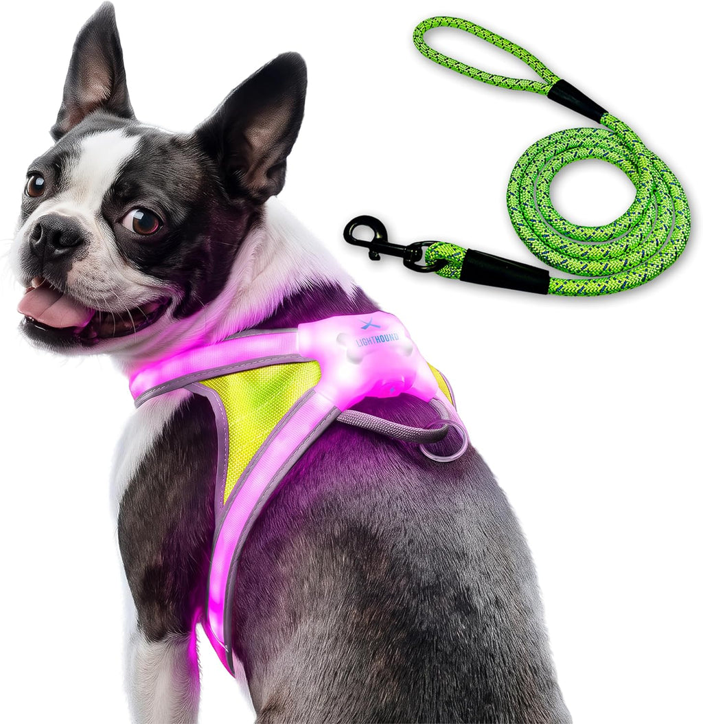 noxgear LightHound Light Up Reflective Dog Harness, Large