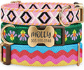 Personalized Jacquard Dog Collar with Engraved Name and Phone
